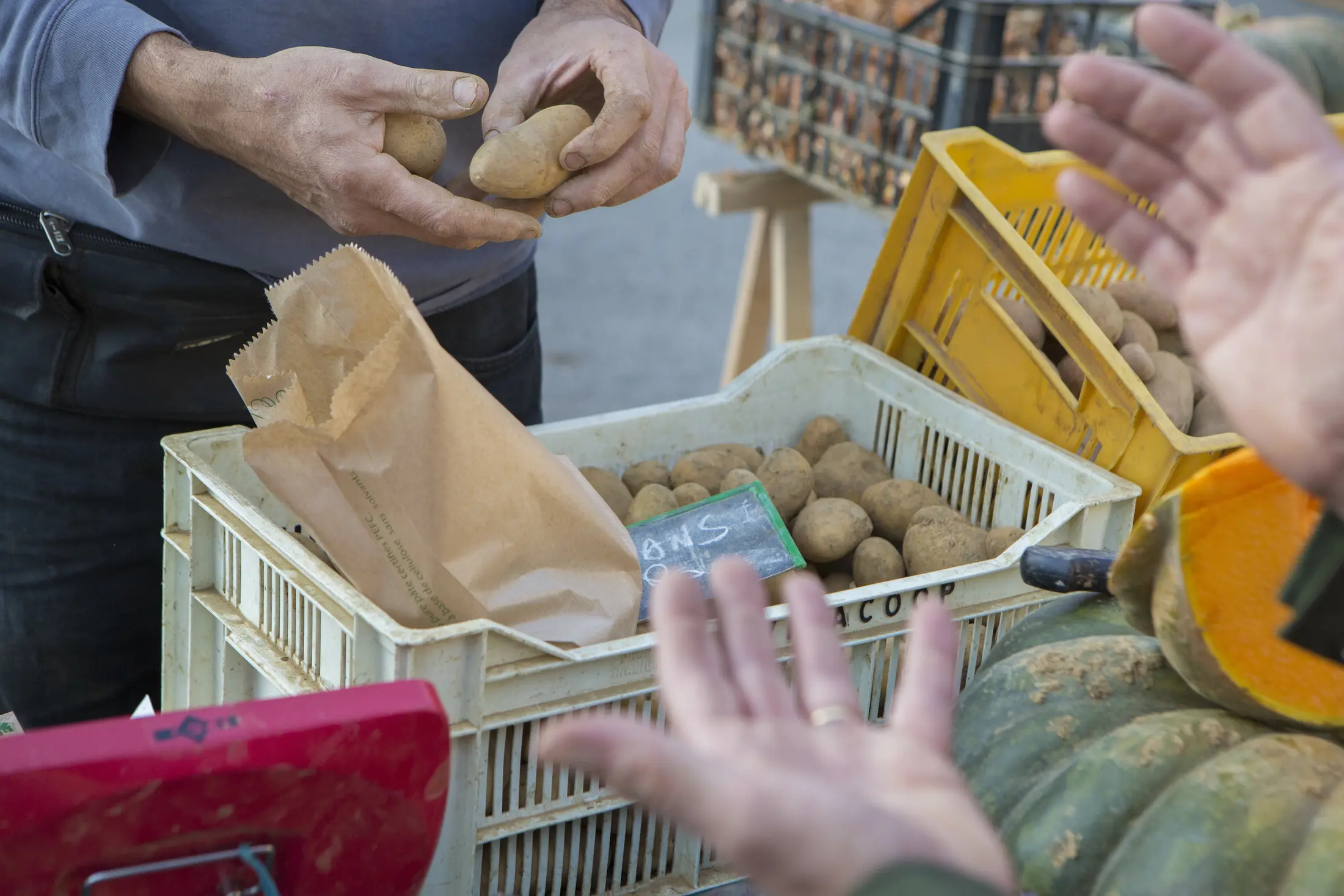 Producteur local servant un client sur un marché